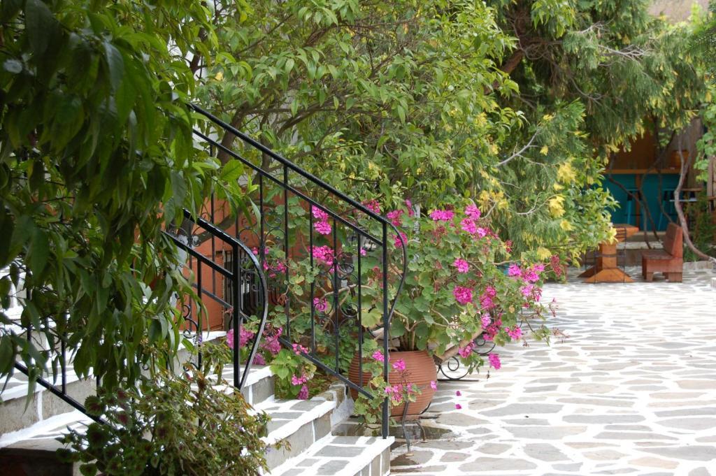 Hotel Villa Marie Sivota  Exterior photo