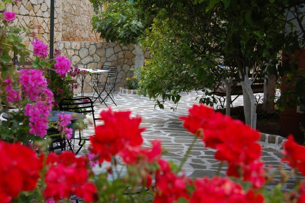Hotel Villa Marie Sivota  Exterior photo